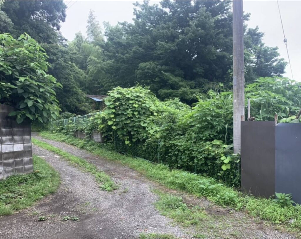 厚木市 畑 532㎡